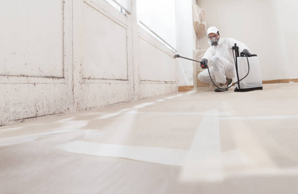24/7 Emergency Attic Mold Removal experts in Nashville, GA
